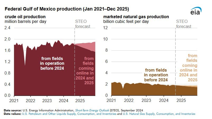 EIA says that new fields in US Gulf of Mexico to offset production decline