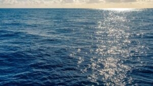 670d6e511a558b4c34754067 pelotas basin OTS Offshore