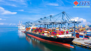 Adhering to DNV & ABS Standards in Every Project